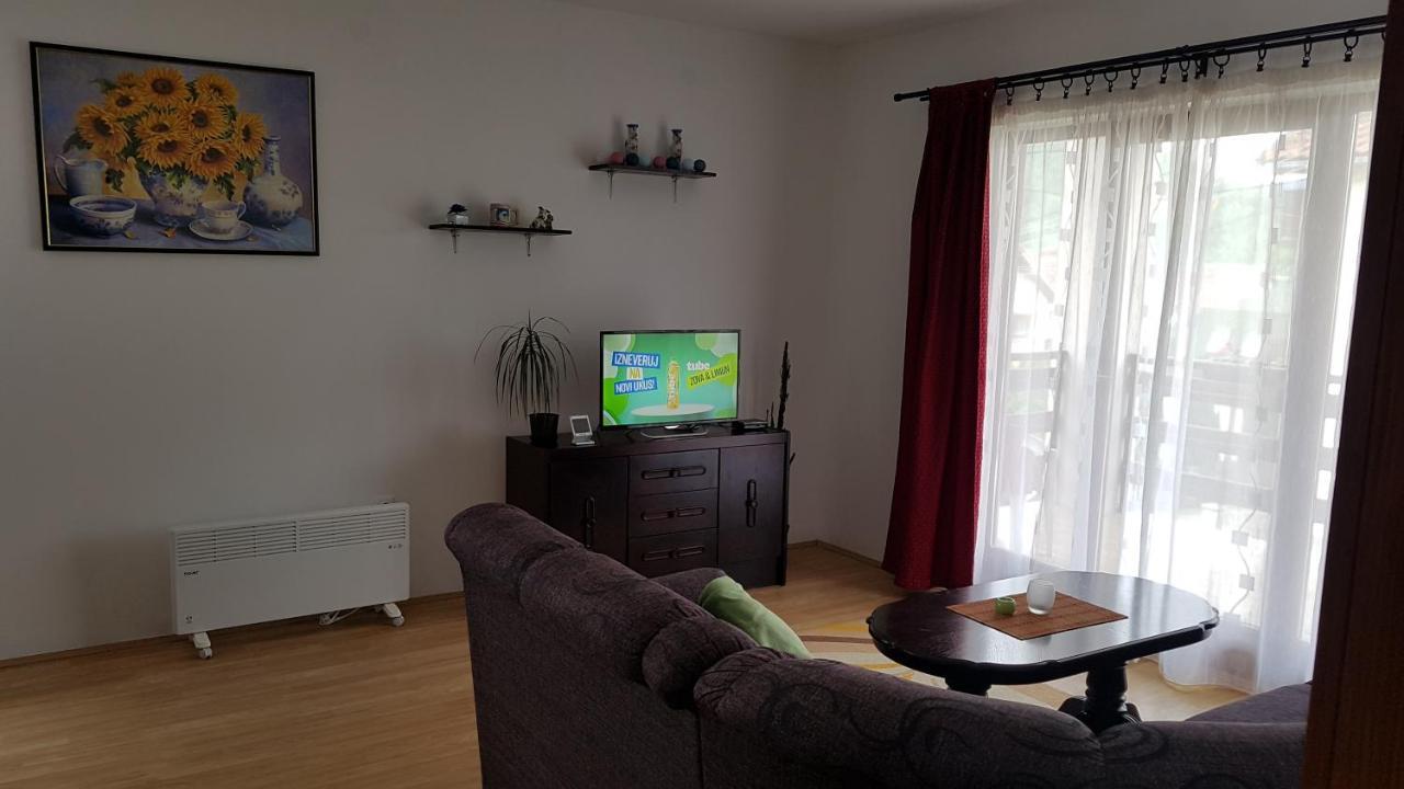 Apartman Jovanovic バイナ・バシュタ エクステリア 写真