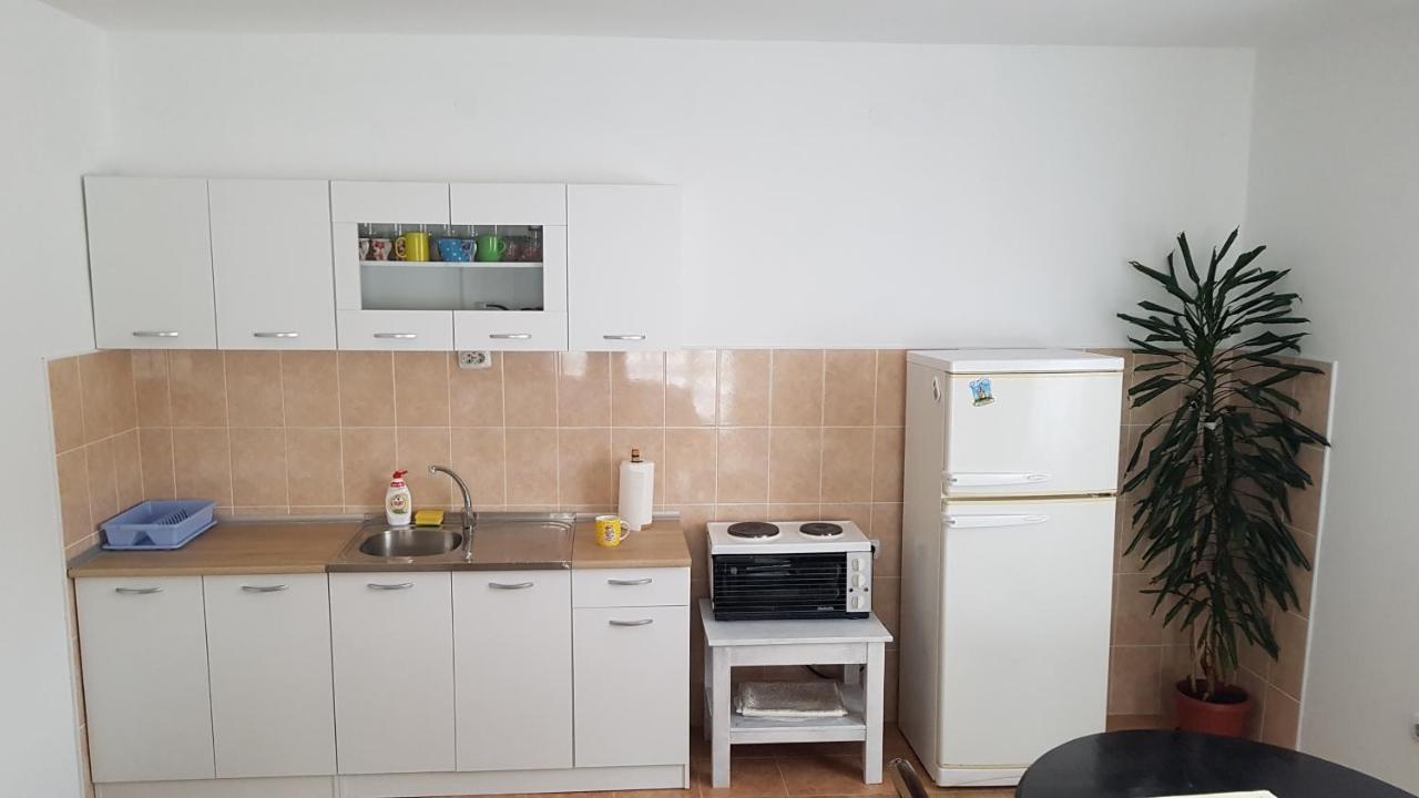 Apartman Jovanovic バイナ・バシュタ エクステリア 写真