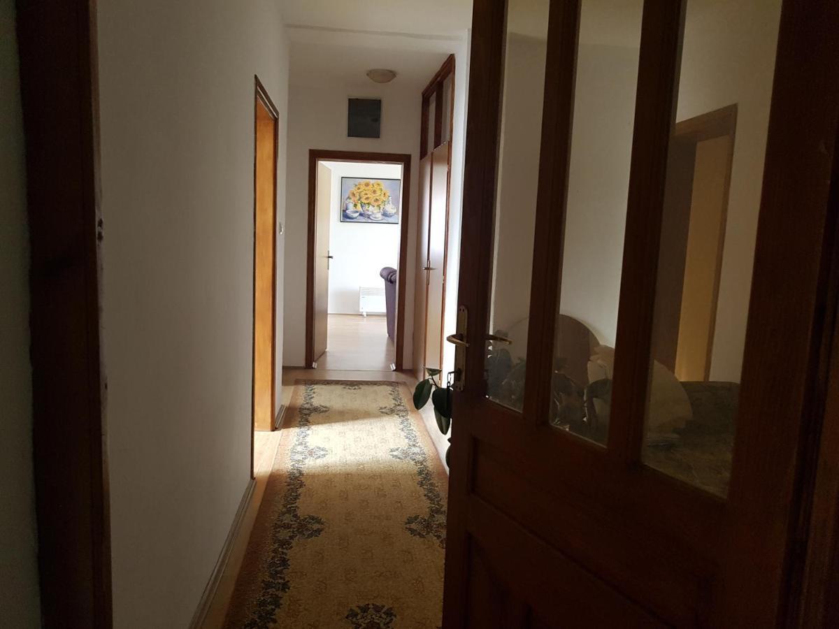 Apartman Jovanovic バイナ・バシュタ エクステリア 写真