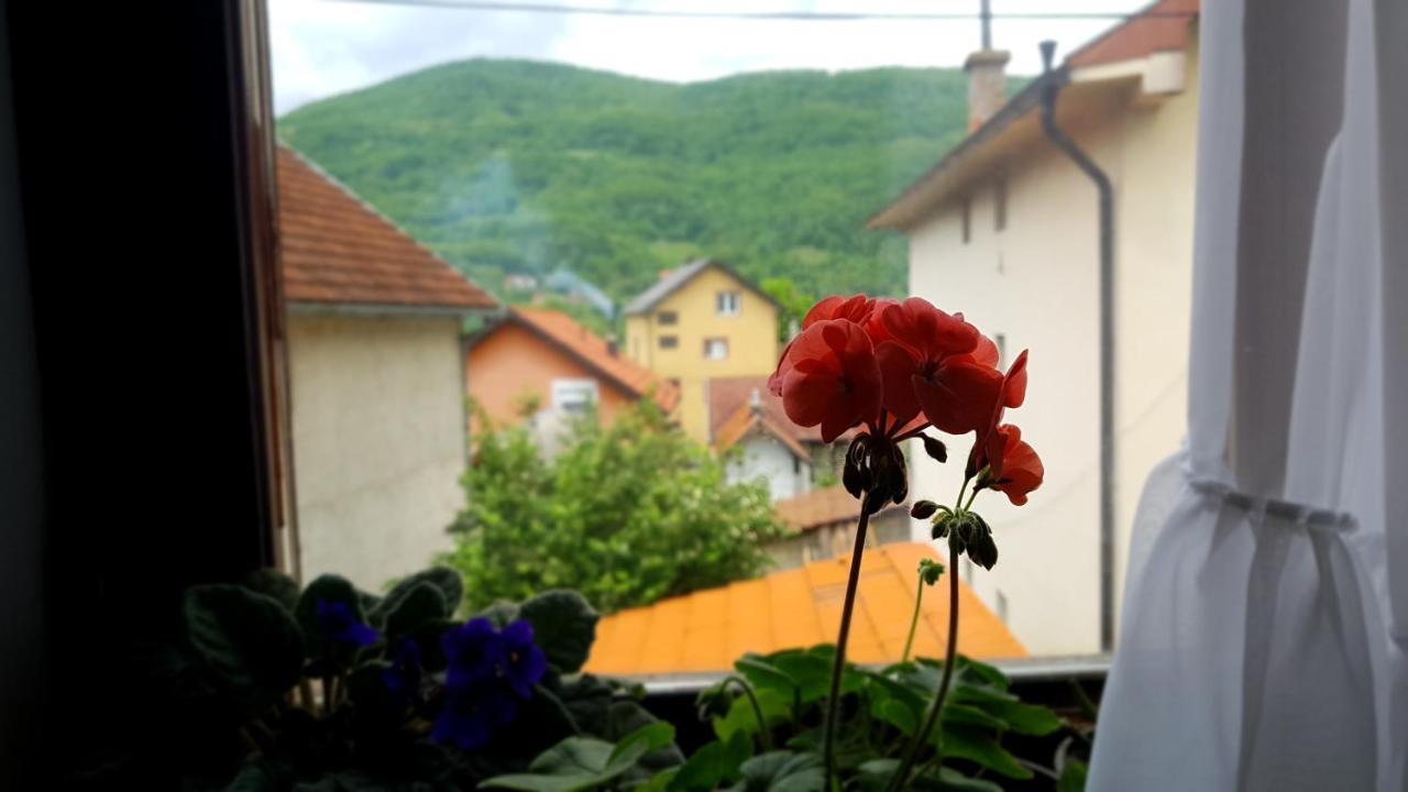 Apartman Jovanovic バイナ・バシュタ エクステリア 写真